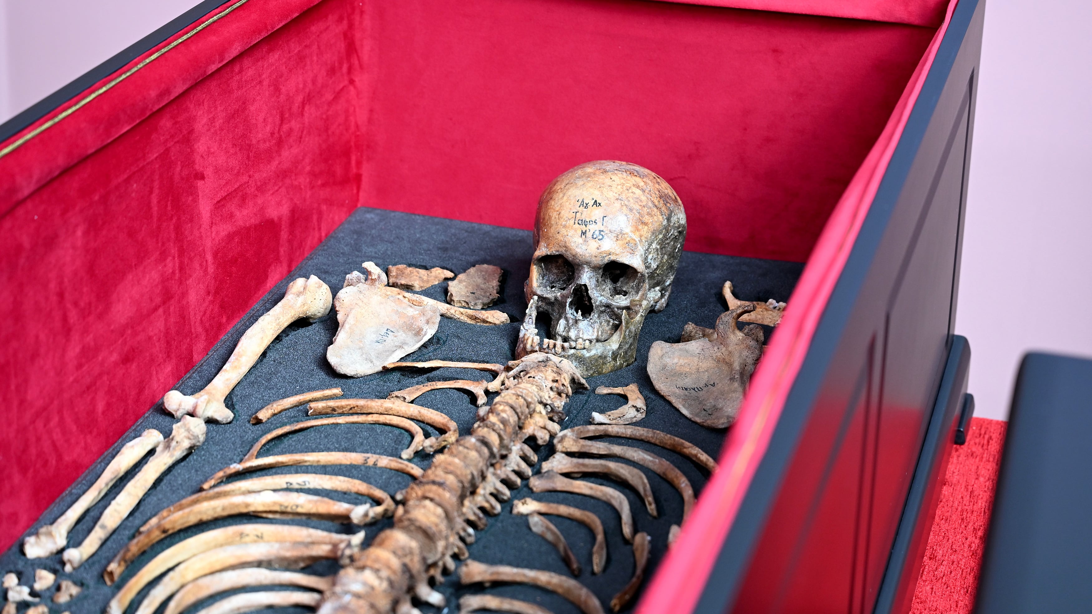Tsar Samuel’s remains are being handed to Bulgaria (AP)