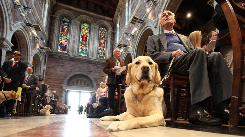 St Anne&#39;s Cathedral full of guide dogs during the Service of Thanksgiving celebrating 30th Anniversary of Guide Dogs in Northern Ireland. Picture by Ann McManus 