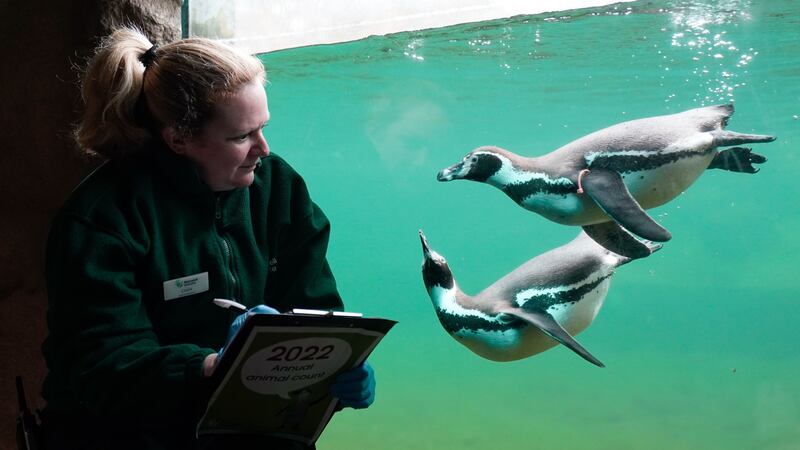 Keepers at the Hampshire conservation charity are required by law each year to complete an audit.
