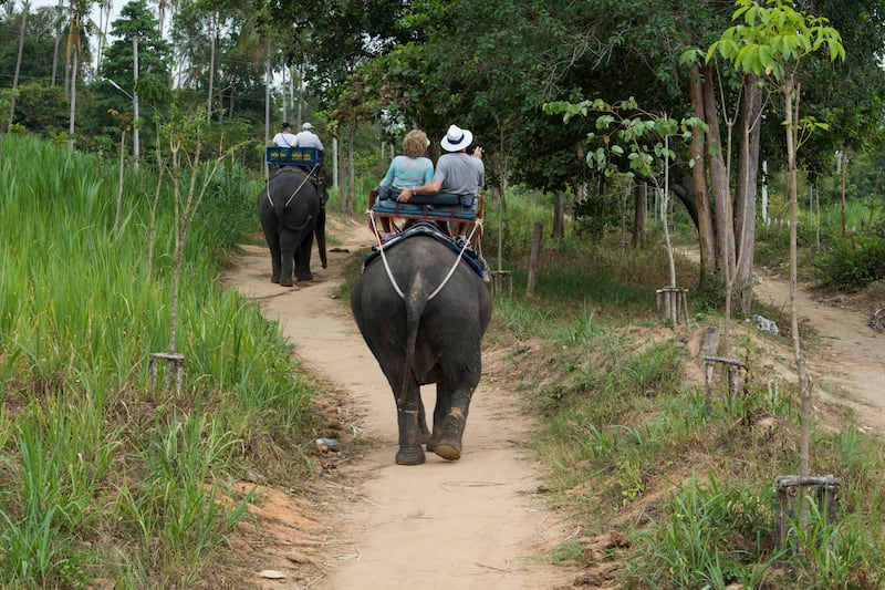 Attitudes towards animal tourist activities have changed a lot in recent years