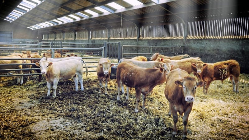 Livestock is housed at this time of year and large amounts of winter stocks of hay, straw and silage are being stored inside - so should a fire strike, the risk of loss is at its greatest 