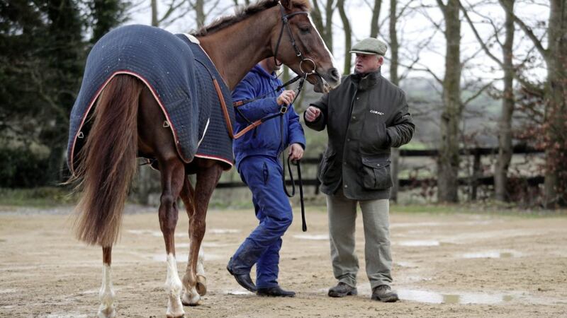 Trainer Colin Tizzard keeps an eye on Native River at his stables in Dorset ahead of next week&#39;s tilt at the Cheltenham Gold Cup 