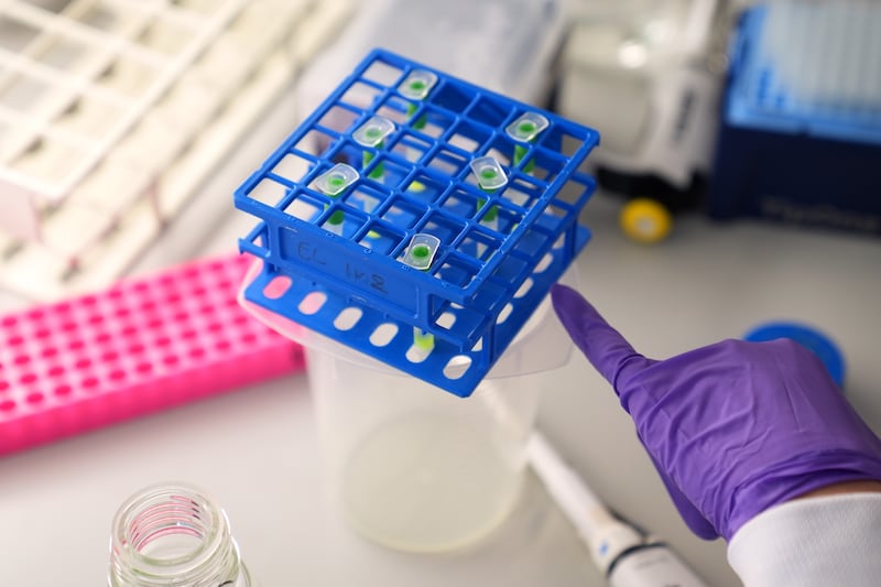 AI could ‘supercharge’ fight against cancer, researchers say