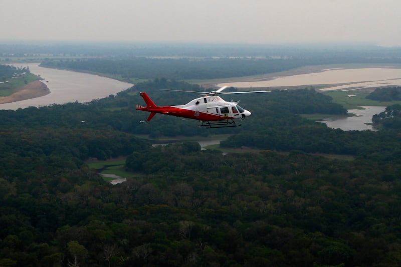 Amazon deforestation falls to lowest level since 1988, Brazil says