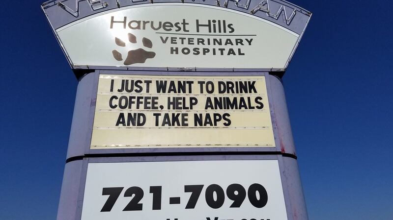 (Harvest Hills Veterinary Hospital/PA)