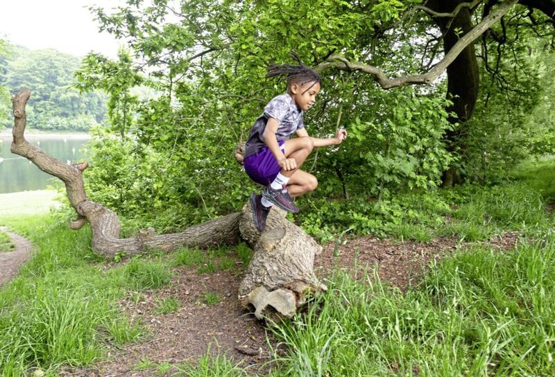 Planning a &#39;nature obstacle course&#39; is one way of using what is around us in parks, forests and gardens to add a fun element to get kids outdoors in the summer months 