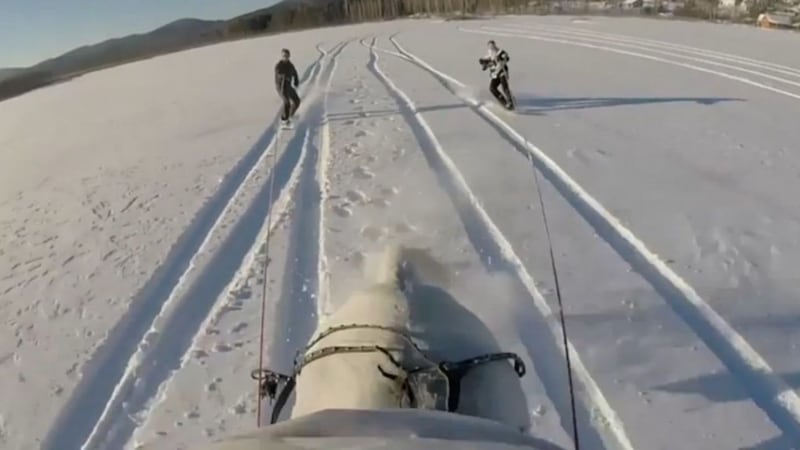 Watch Russian thrill-seekers 'horseboarding' - it's the latest extreme winter sport