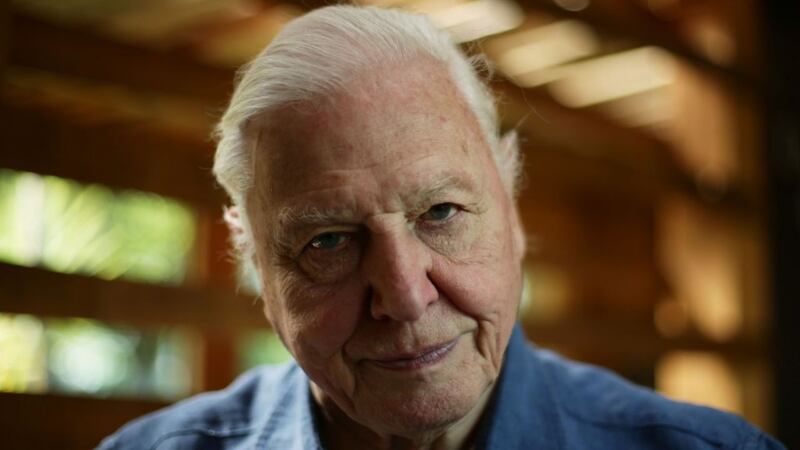 David Attenborough has had a species of snail named after him and he couldn't be happier about it