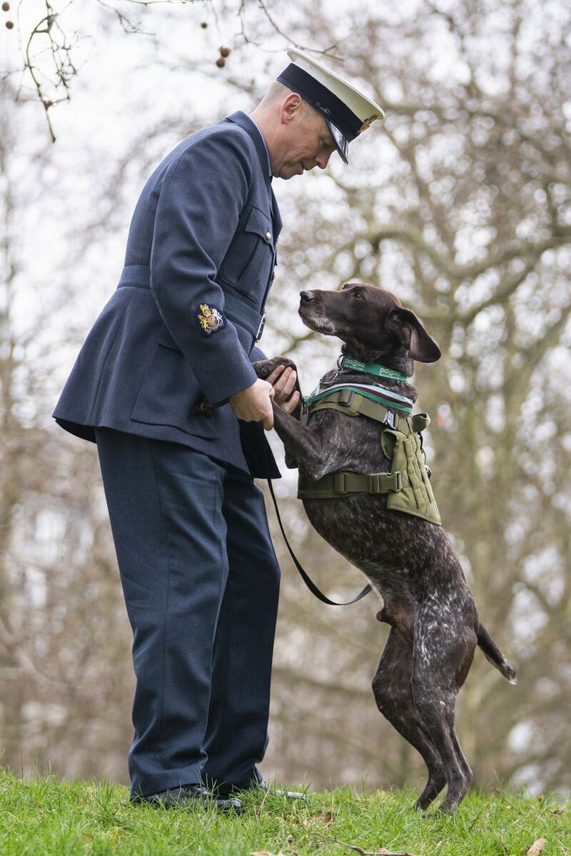 PDSA Dickin medal-winning dog Hertz with trainer Jonathan Tanner