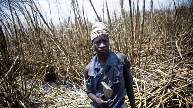 A sugar cane farmer in Malawi. Farmers in some of the world&#39;s poorest countries could be hit by at least &pound;1 billion in extra taxes for importing goods to the UK when it leaves the EU, campaigners are warning 