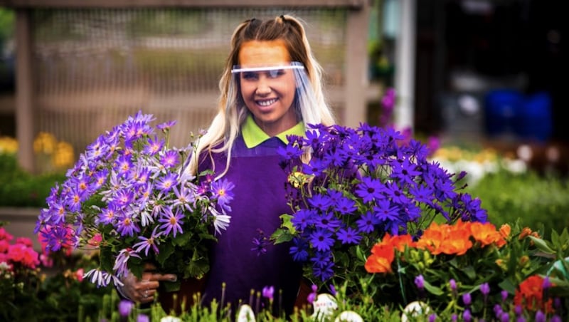 Shop assistant Naomi Ferguson holding two potted plants while wearing a face guard at Hillmount Garden Centre on the outskirts of Belfast. Picture by Liam McBurney, Press Association