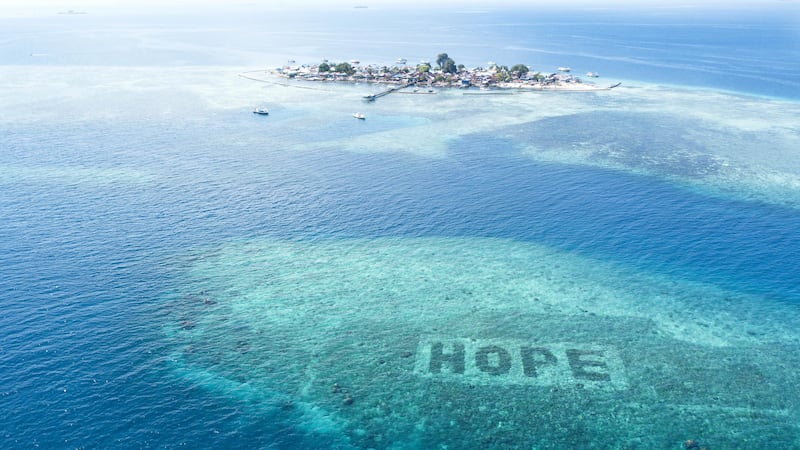 The Hope Reef in Indonesia is the world’s largest coral restoration project (Kristoffer Trondsen/PA)