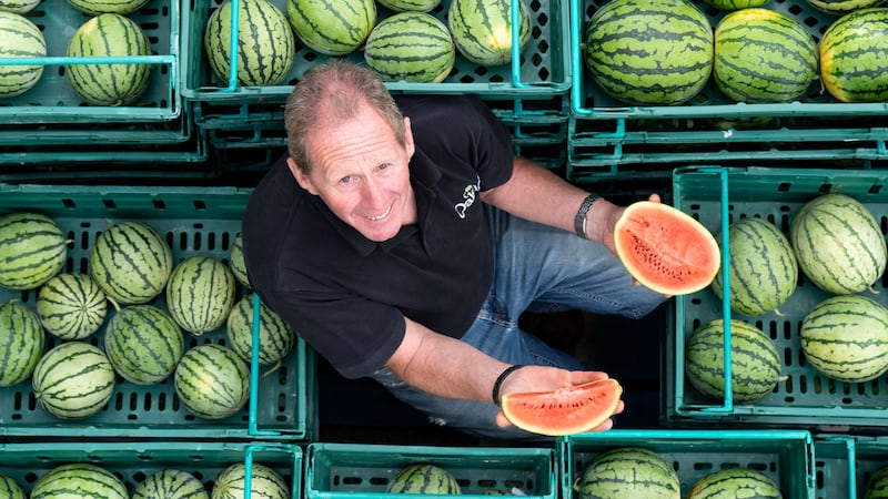 Nick Molesworth, manager of Oakley Farms in Wisbech, Cambridgeshire stands amongst the watermelons (Joe Giddens/PA)