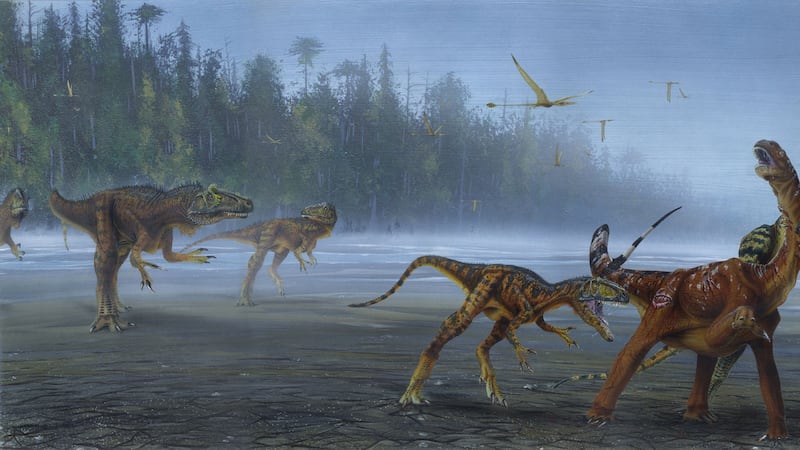Allosaurus jimmadseni roamed the North American flood plains 155 million years ago.