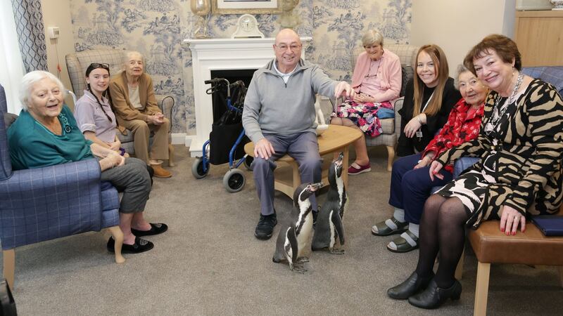 92-year-old Annie Thelwell at Mountbatten Grange in Berkshire made a wish on the home’s wishing tree to see penguins.
