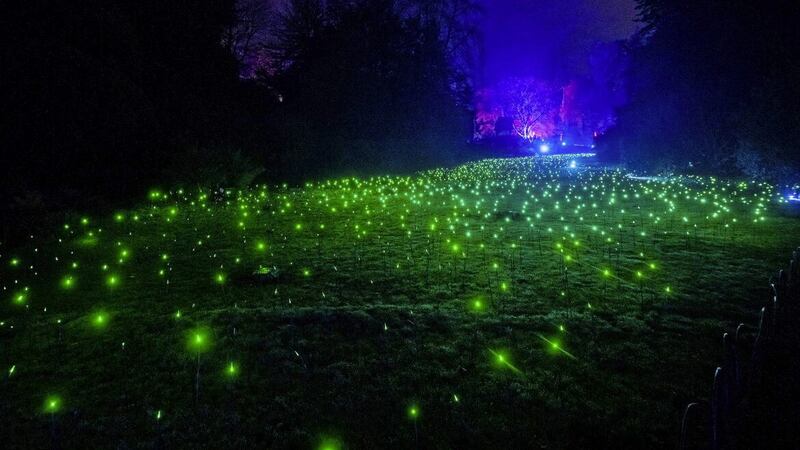 The Meadow of Light is at Hillsborough Castle until January 1 