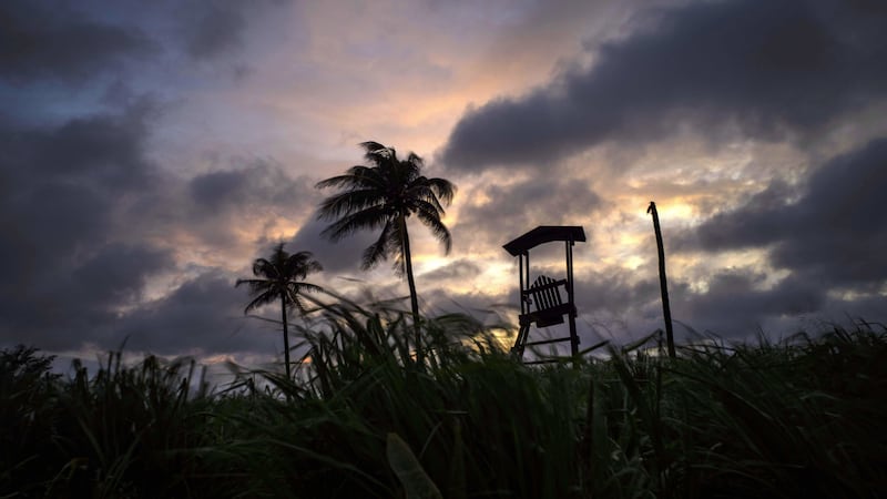 Wind moves the grass and palm trees under a cloudy sky after the passage of Tropical Storm Elsa in Havana, Cuba, Monday, July 5, 2021 (AP Photo/Ramon Espinosa)&nbsp;