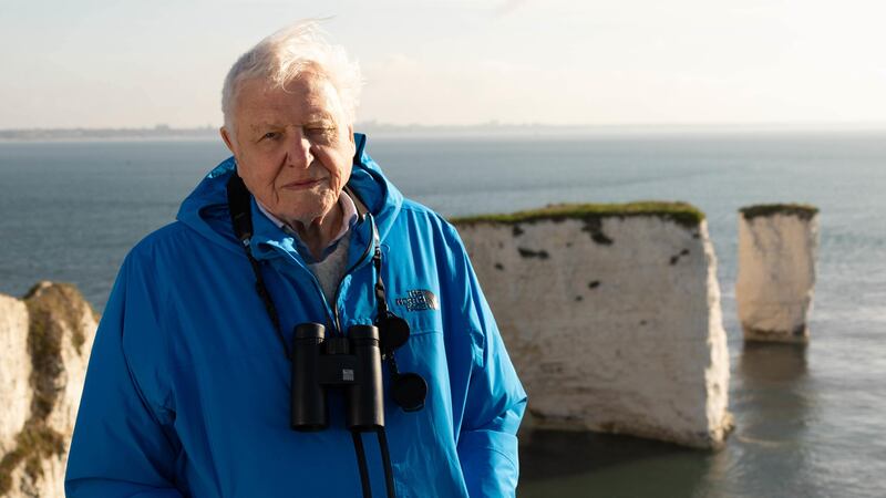 The series sees Sir David Attenborough celebrate the nature that exists on our doorsteps.