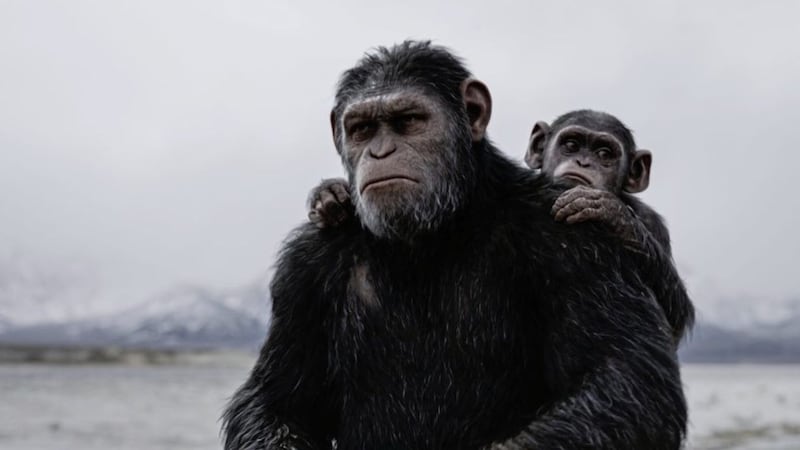 Andy Serkis as Caesar in War for the Planet of the Apes 
