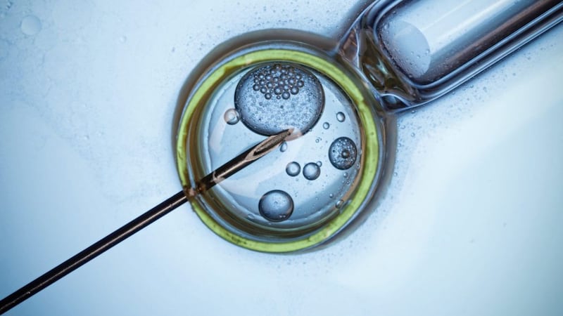 The Irish Health Minister announced plans for publicly funded IVF treatment on Tuesday.