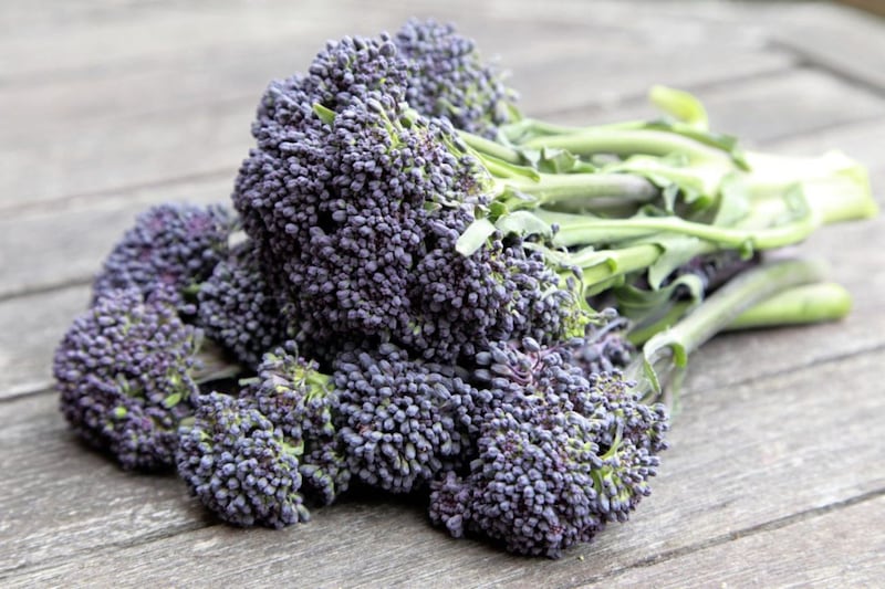 Purple sprouting brocolli. Picture by Alamy/PA 