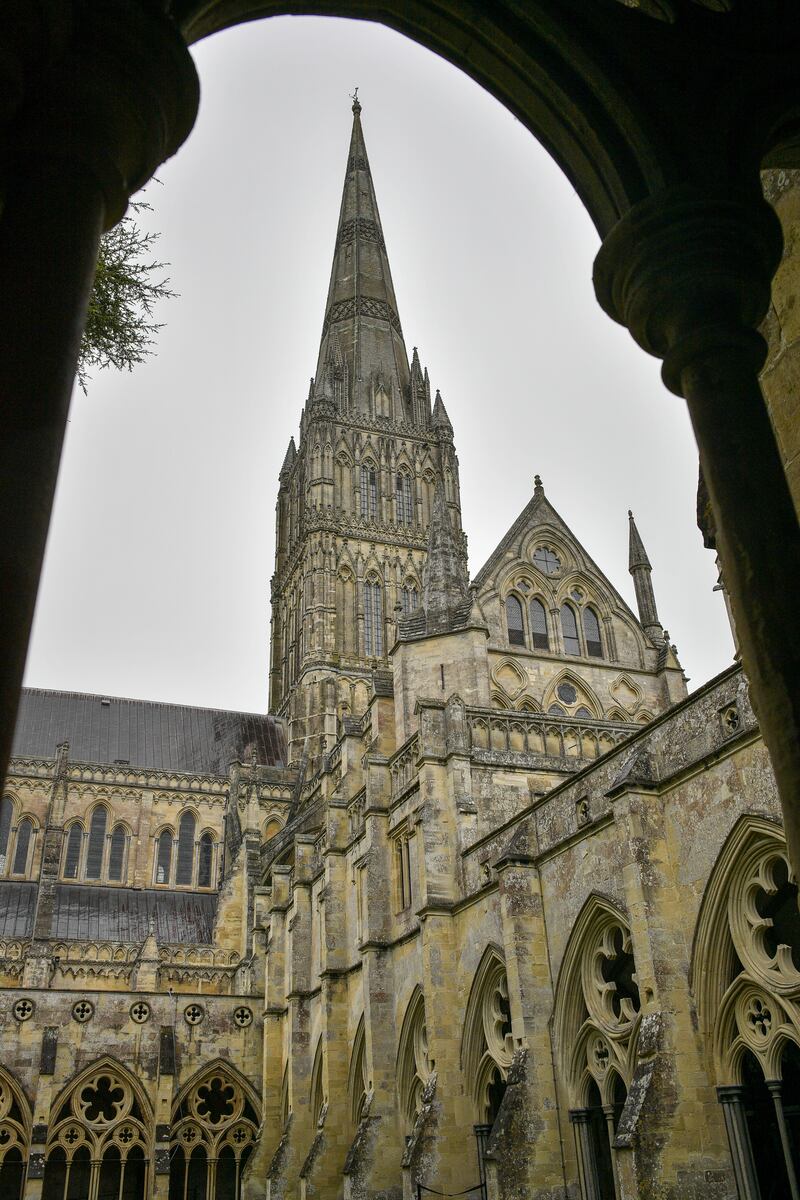 Peregrine chicks at Salisbury Cathedral