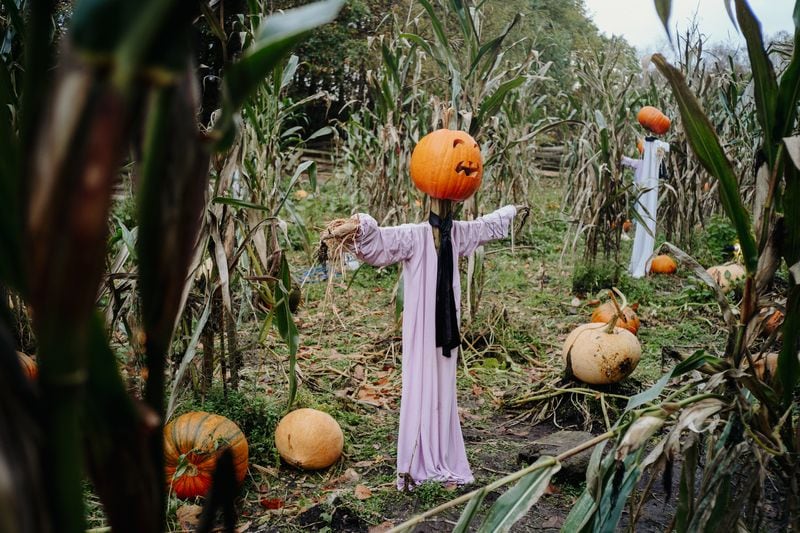 Halloween at the Ulster American Folk Park