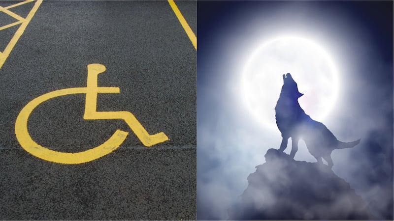‘We’re disabled, Daniel, we’re not werewolves.’