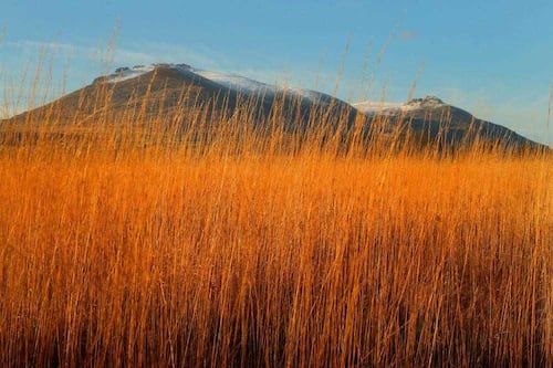 Take on Nature: Imagining Beckett in the Mournes