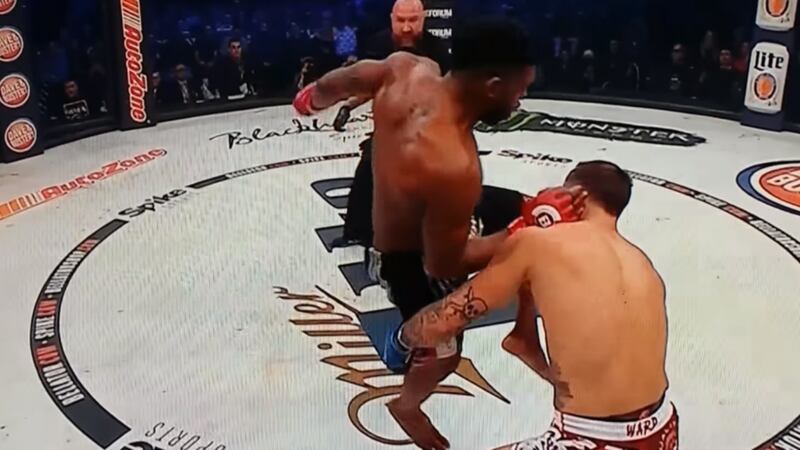 This is what a flying knee from Paul Daley will do to your face