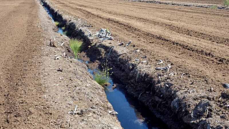 Tonnes of peat are extracted from Irish bogs and shipped to Britain 