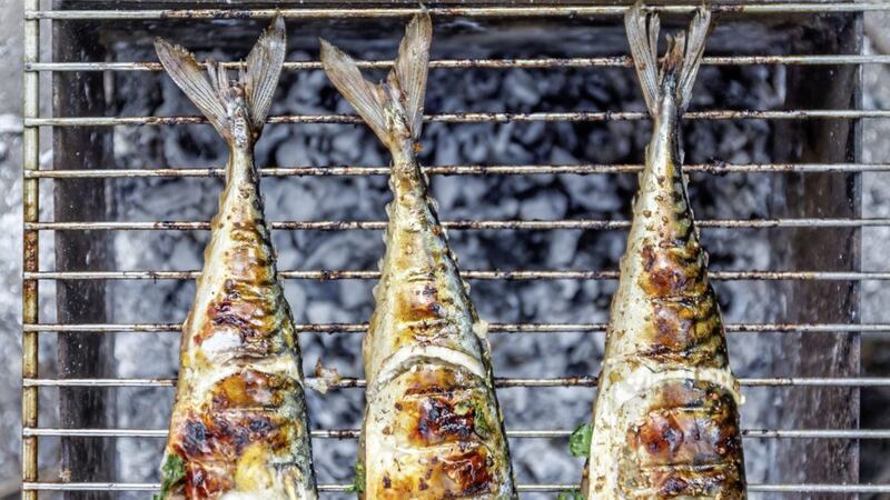 Barbecued freshly caught mackerel are delicious &ndash; simply stuff with lemon slices and herbs 