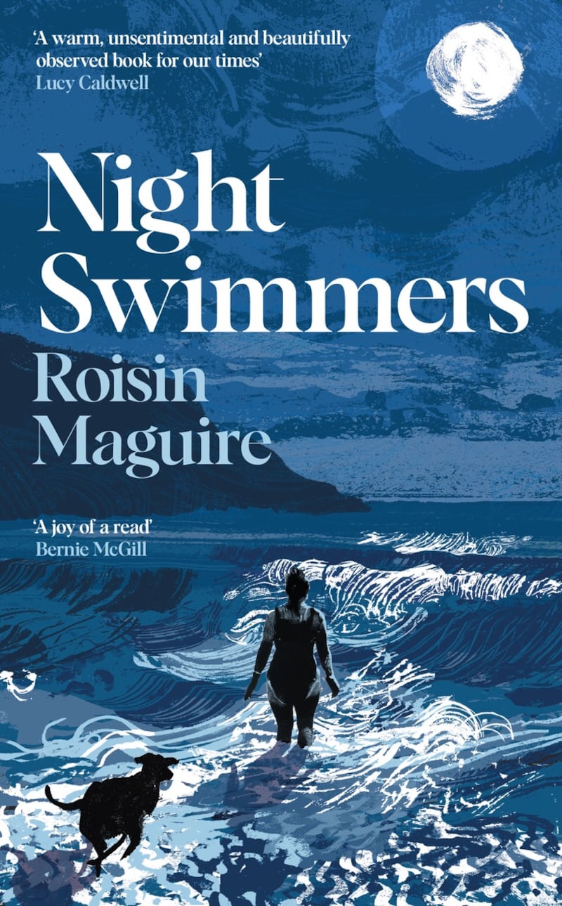 Night Swimmers book cover