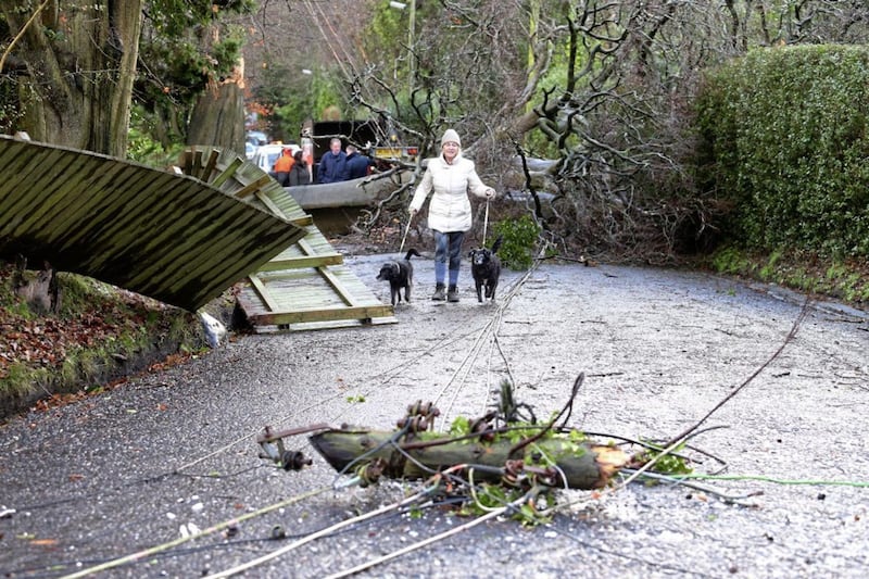 People walk past downed electricity cables after large tree pulled down power lines and caused damage to homes in New Forge Lane in south Belfast Picture Mal McCann. 