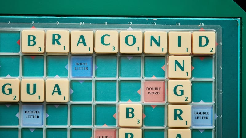 The official Scrabble dictionary designates acceptable words.