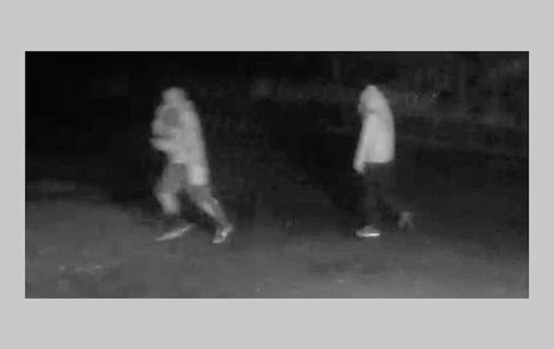 CCTV images of two masked people spotted attempting to remove a ventilation grille on the front of wind farm substation in November 2018 