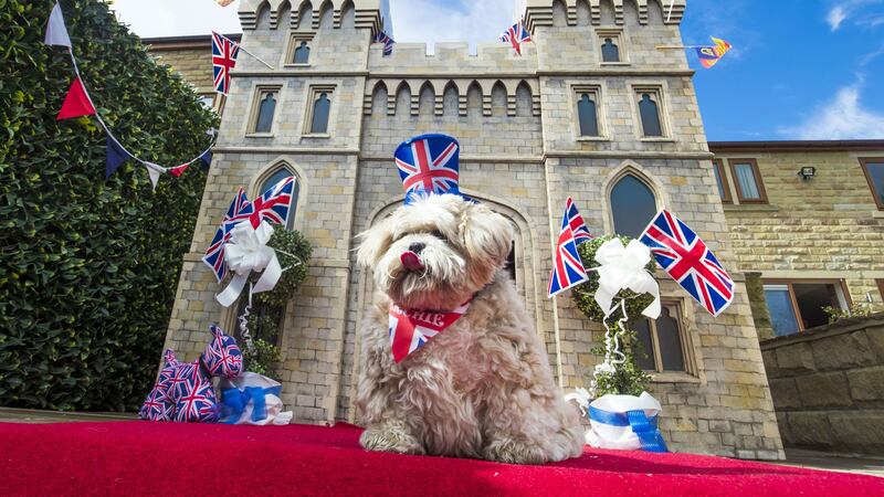 Susan Crossland has spent more than £5,000 having a 2m high, hand-painted version of the castle built for Archie – her 10-year-old Lhasa Apso.