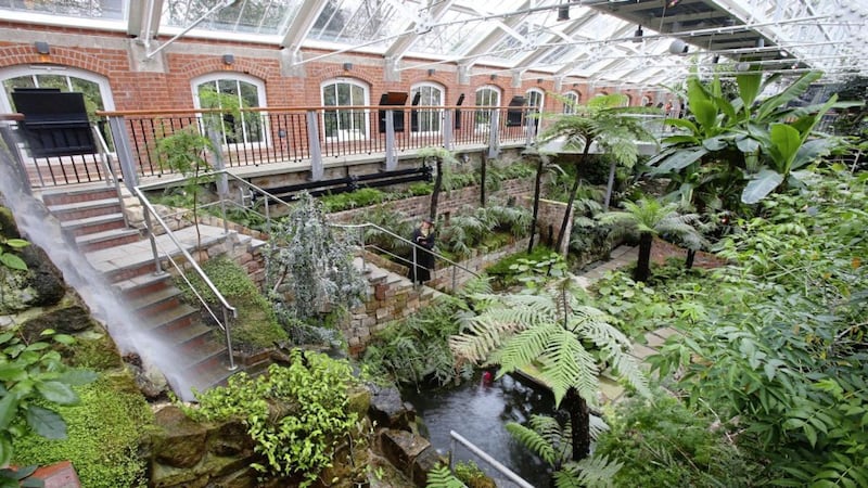The newly refurbished Tropical Ravine in Botanic Gardens, Belfast. Picture by Mal McCann 