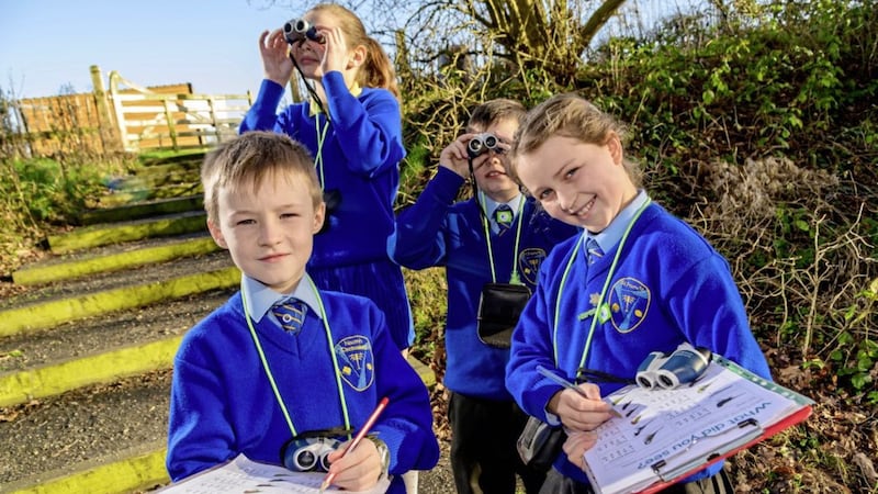 Pupils from St Francis&#39; PS in Lurgan taking part in the RSPB Big Schools&#39; Birdwatch 