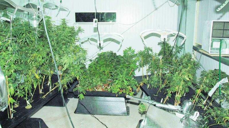 A 24-year-old man has been arrested following the discovery of cannabis and drug-related equipment 