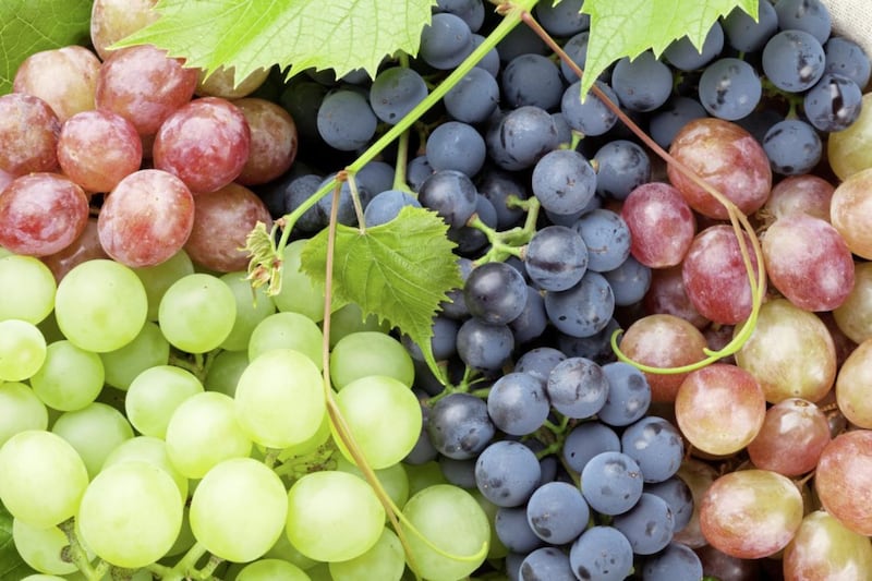 As well as being conscious of eating your &#39;five a day&#39;, it is good to vary the sort of fruit and veg we regularly eat - so if you normally eat white grapes, swap them for red grapes one week. 