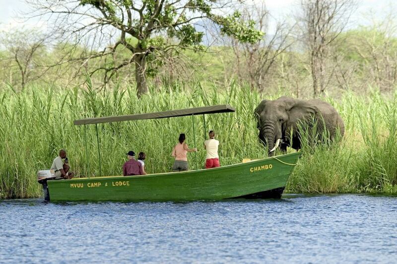 Aboat safari on the Shire River in Liwonde National Park in Malawi