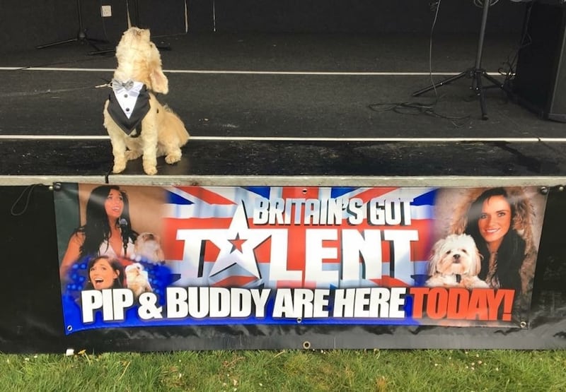 Buddy the dog, who sang with Pippa Langhorne on Britain's Got Talent