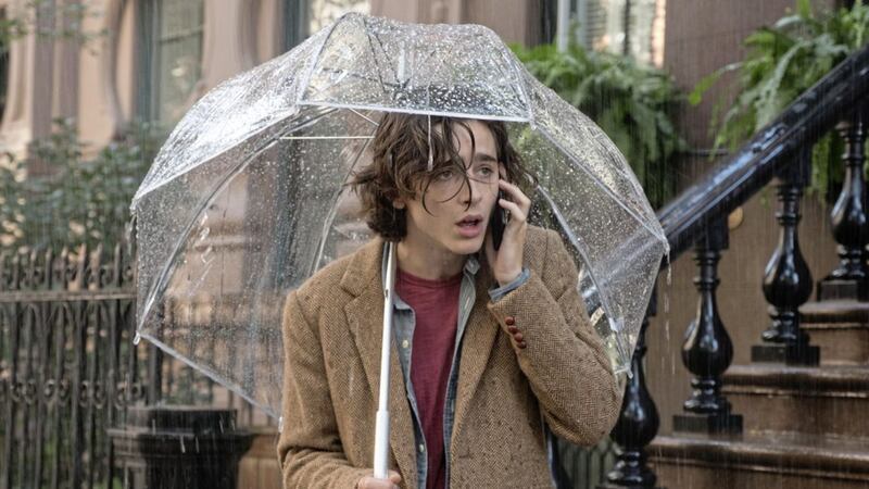 Timothee Chalamet as Gatsby Welles in A Rainy Day In New York 