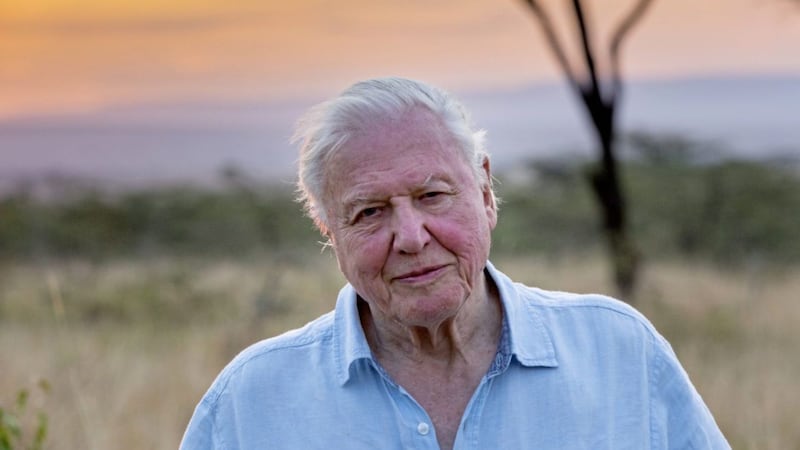 Sir David Attenborough&#39;s new series Our Planet is his first with Netflix 