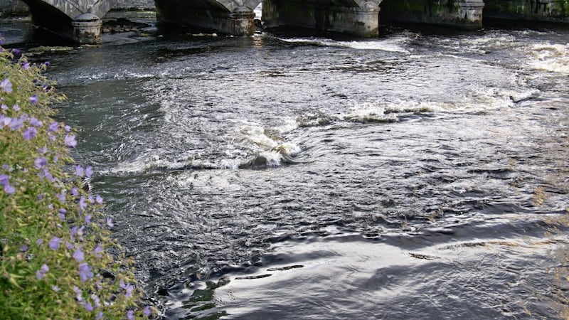 Sligo&#39;s Garavogue river is abundant with history and wildlife. 