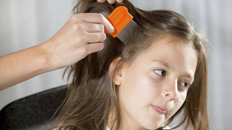Head lice are common in youngsters 