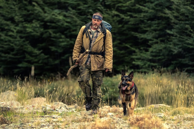 Brad Pitt and four-legged friend battle the elements in new survival thriller Heart of The Beast