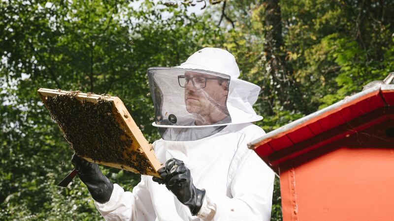 The honey poses a potential health hazard to humans.