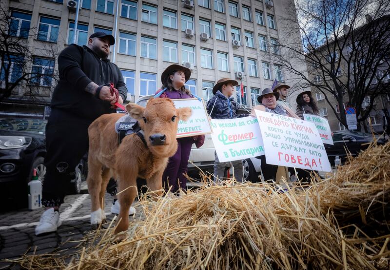 Bulgarian farmers hold posters reading We Want Humane Treatment Of Farmers (Valentina Petrova/AP)
